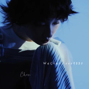 中文字幕a有搜索网站
