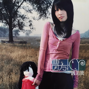 中文字幕a有搜索网站
